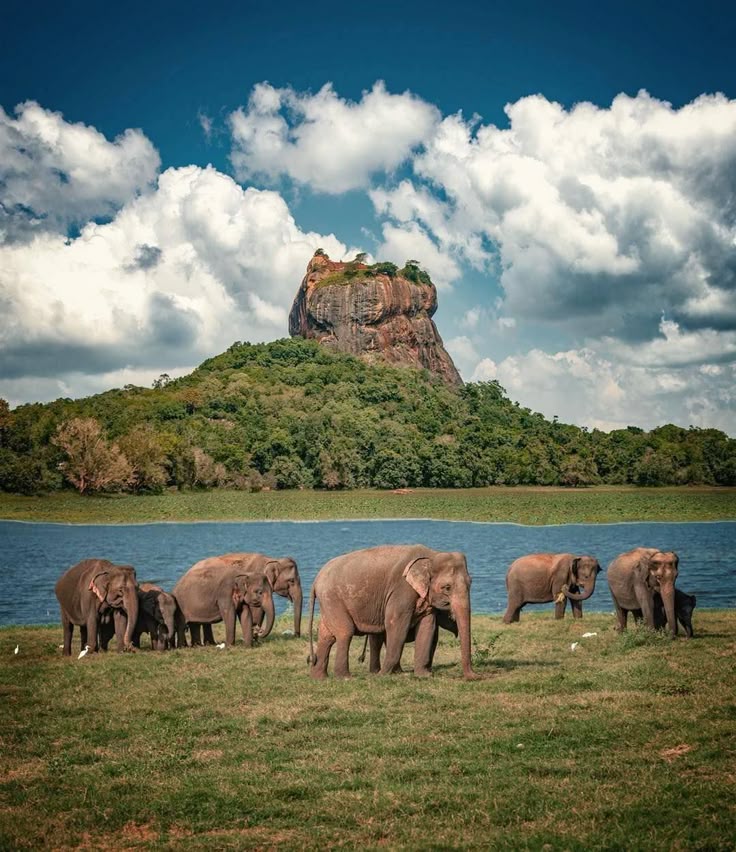 Sigiriya